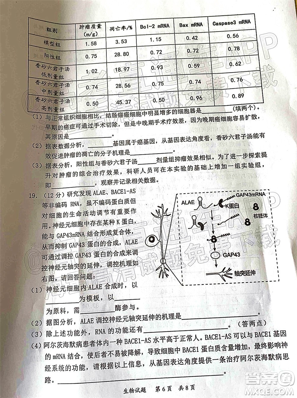 惠州市2022屆高三第二次調研考試生物試題及答案