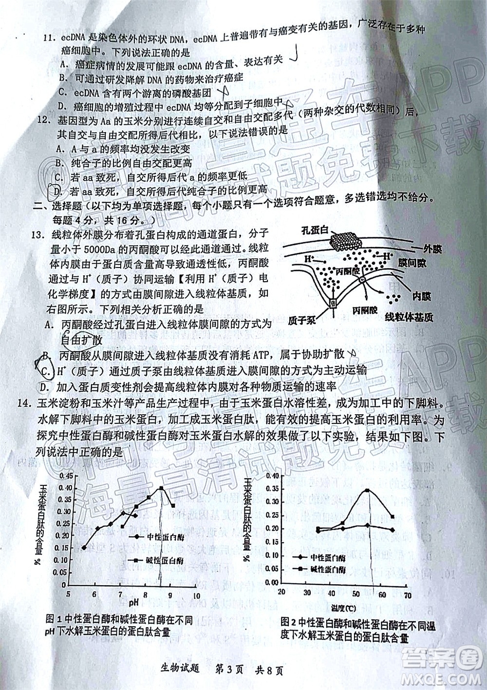 惠州市2022屆高三第二次調研考試生物試題及答案