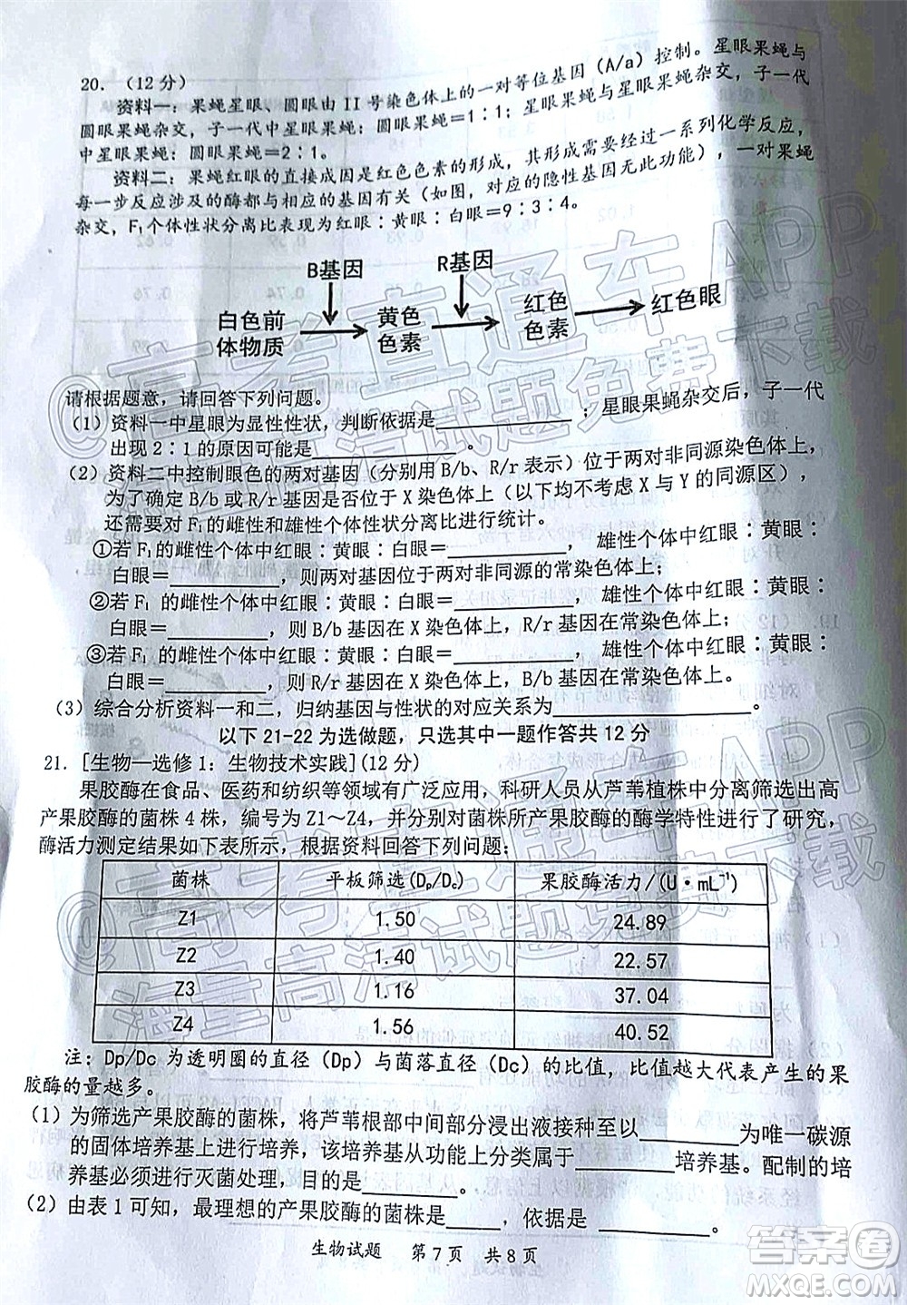 惠州市2022屆高三第二次調研考試生物試題及答案