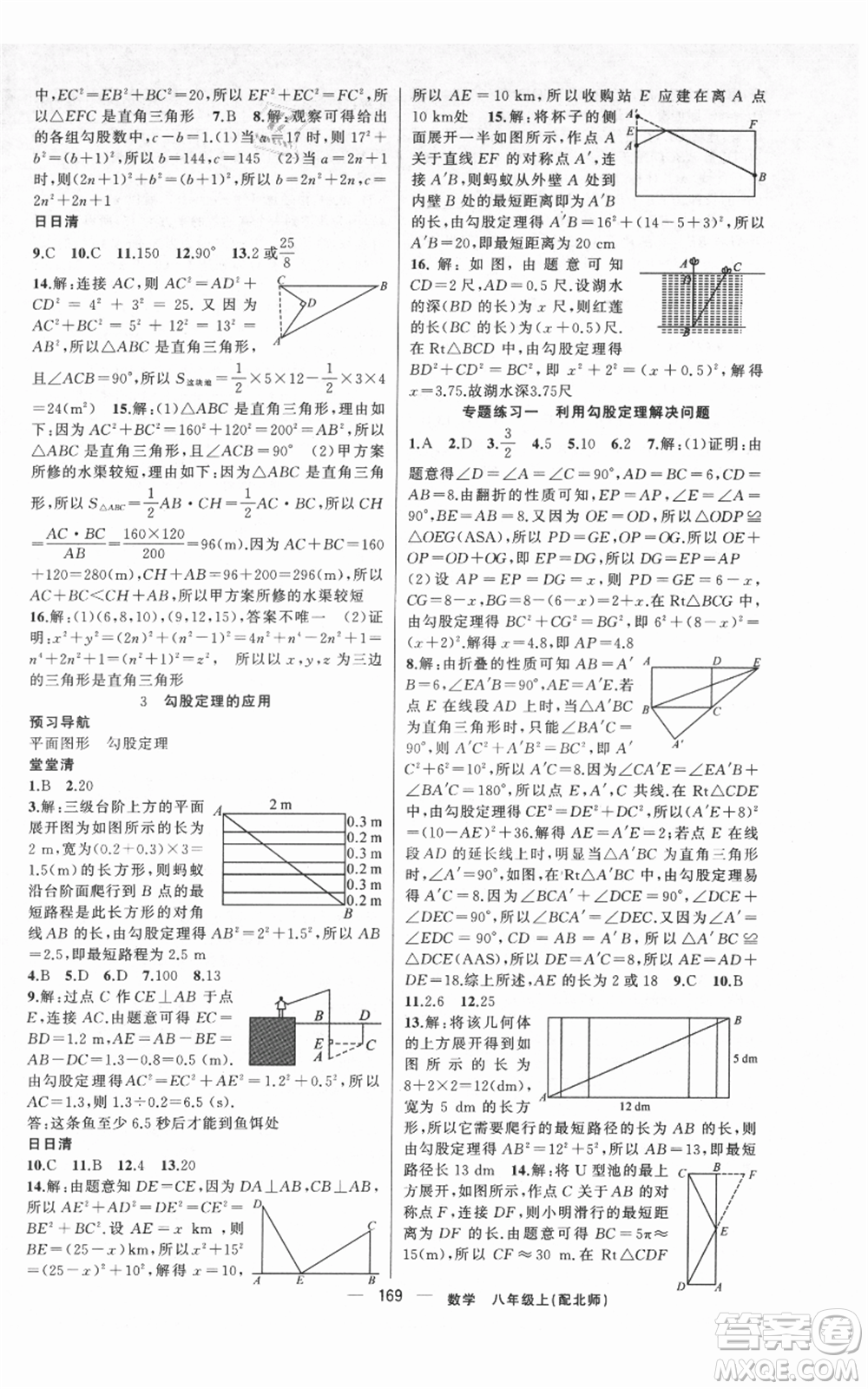 新疆青少年出版社2021四清導(dǎo)航八年級(jí)上冊(cè)數(shù)學(xué)北師大版參考答案