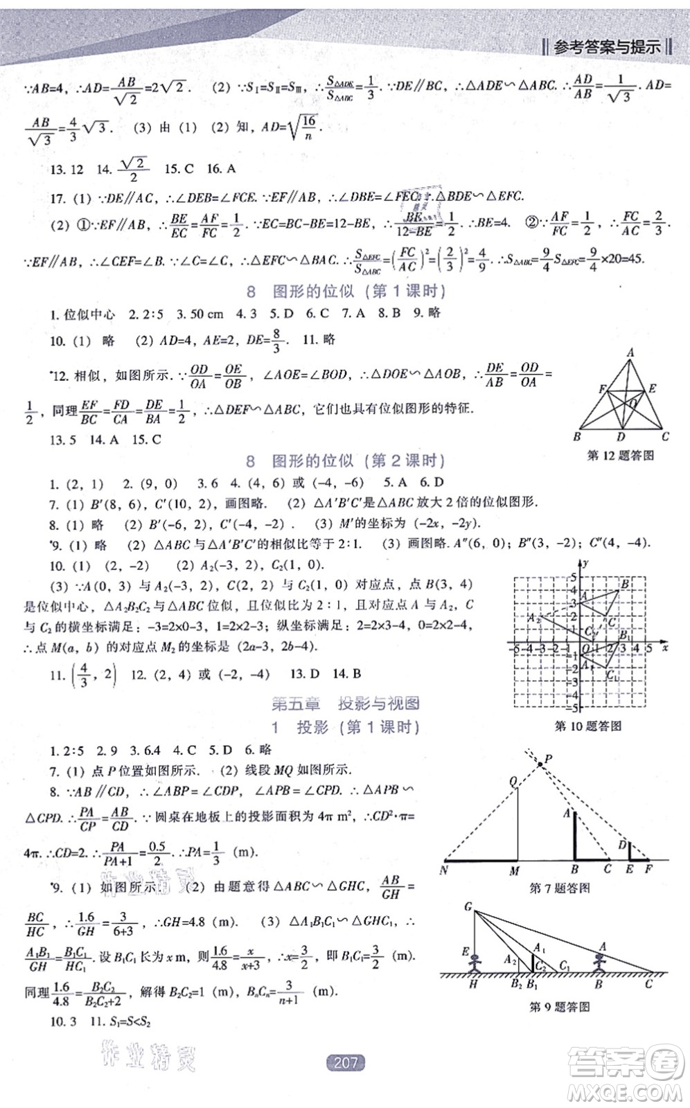 遼海出版社2021新課程數(shù)學(xué)能力培養(yǎng)九年級(jí)上冊(cè)北師大版答案