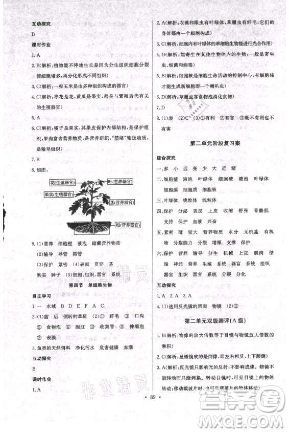 崇文書局社2021長江全能學(xué)案同步練習(xí)冊生物學(xué)七年級上冊人教版答案