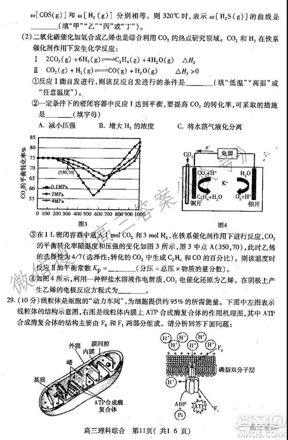 平頂山2022屆高三年級階段性檢測理科綜合試題及答案