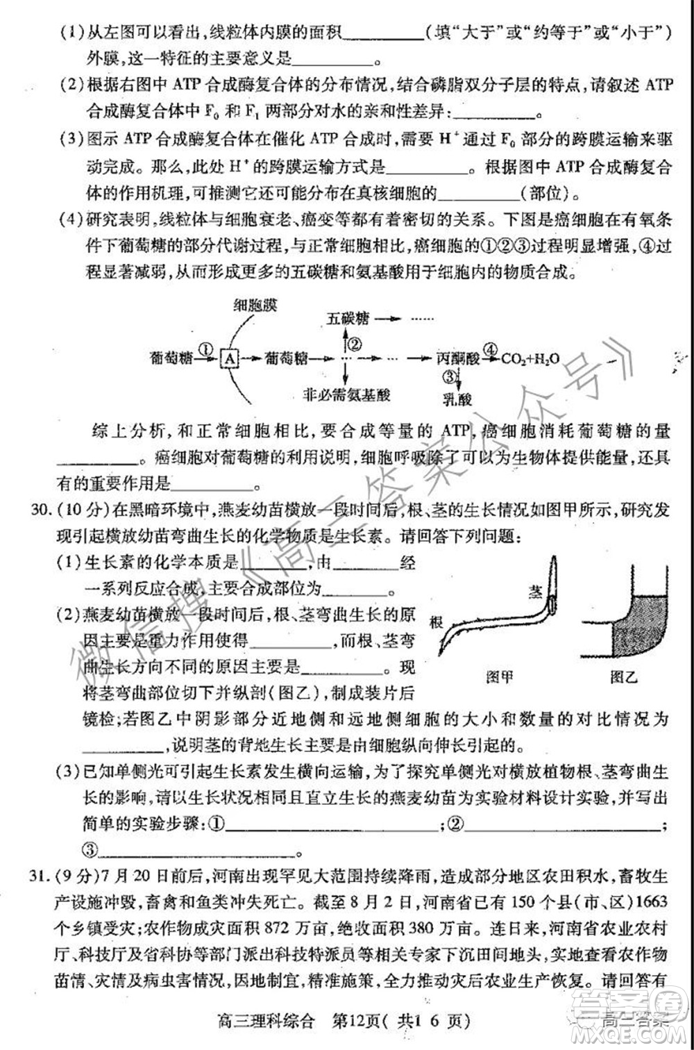 平頂山2022屆高三年級階段性檢測理科綜合試題及答案