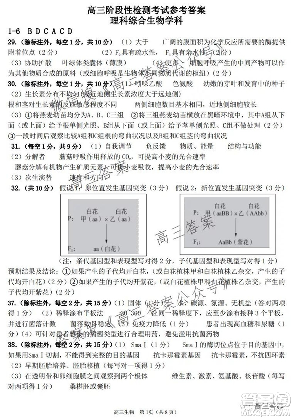 平頂山2022屆高三年級階段性檢測理科綜合試題及答案