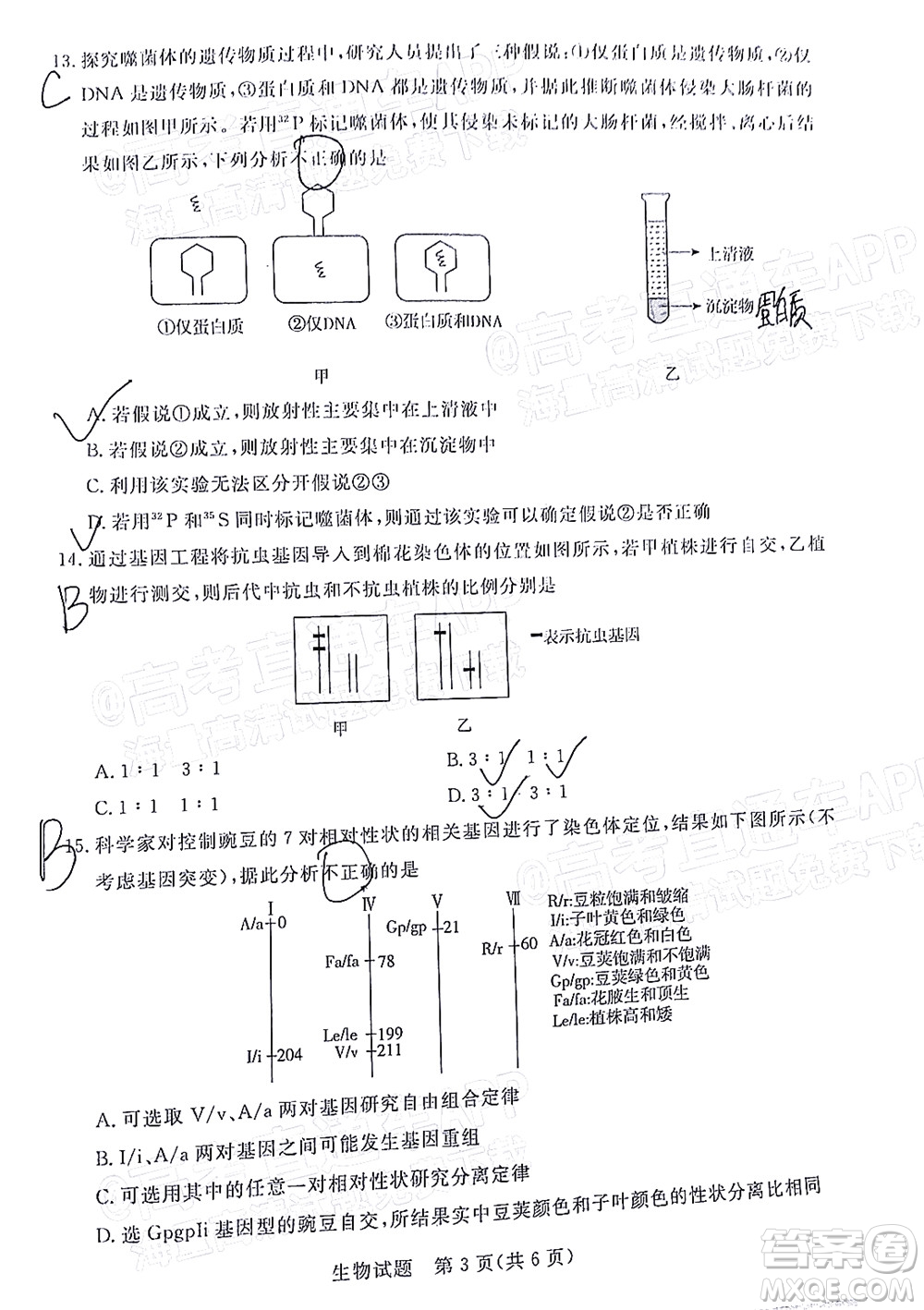 肇慶市2022屆高中畢業(yè)班第一次統(tǒng)一檢測(cè)生物試題及答案