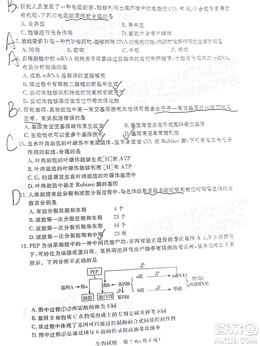 肇慶市2022屆高中畢業(yè)班第一次統(tǒng)一檢測(cè)生物試題及答案