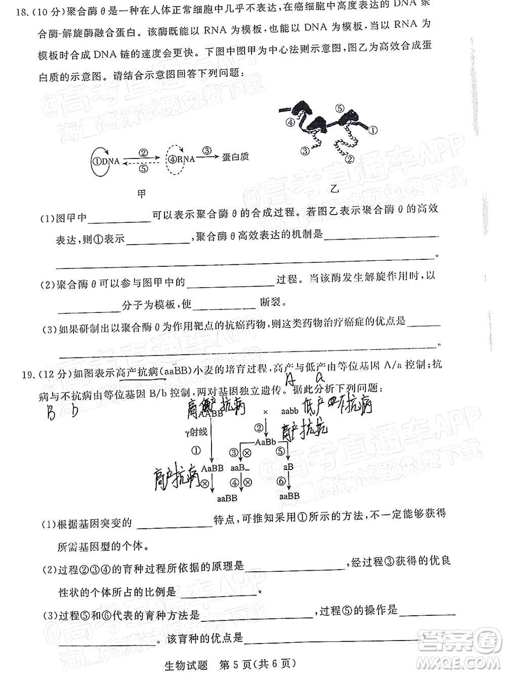 肇慶市2022屆高中畢業(yè)班第一次統(tǒng)一檢測(cè)生物試題及答案