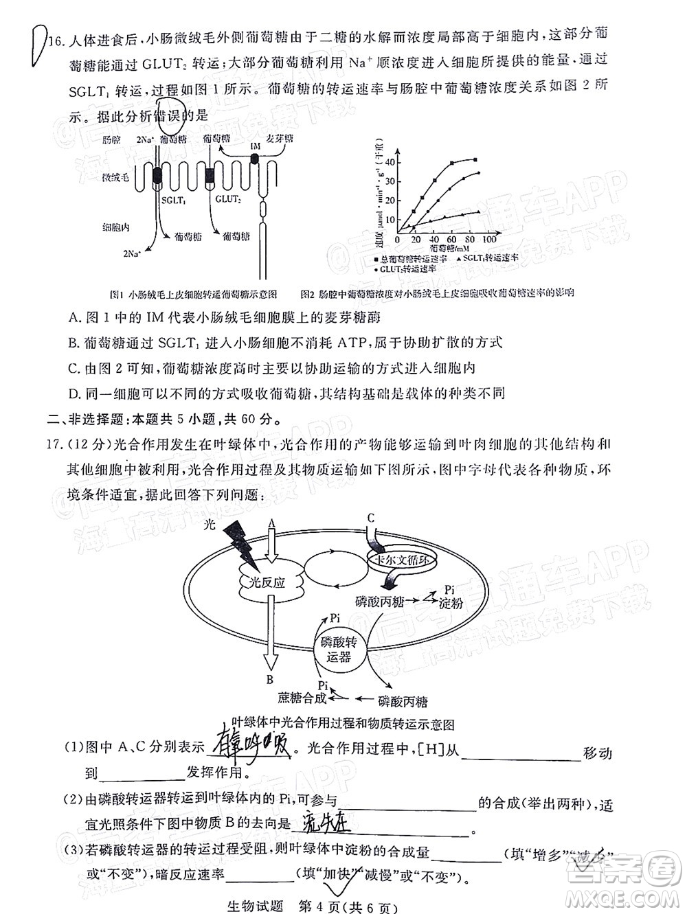 肇慶市2022屆高中畢業(yè)班第一次統(tǒng)一檢測(cè)生物試題及答案