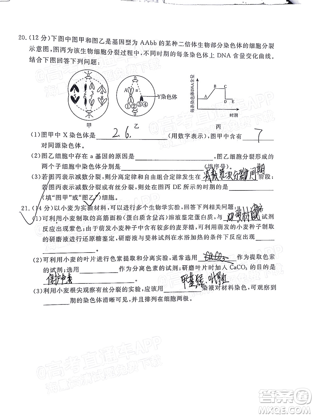 肇慶市2022屆高中畢業(yè)班第一次統(tǒng)一檢測(cè)生物試題及答案