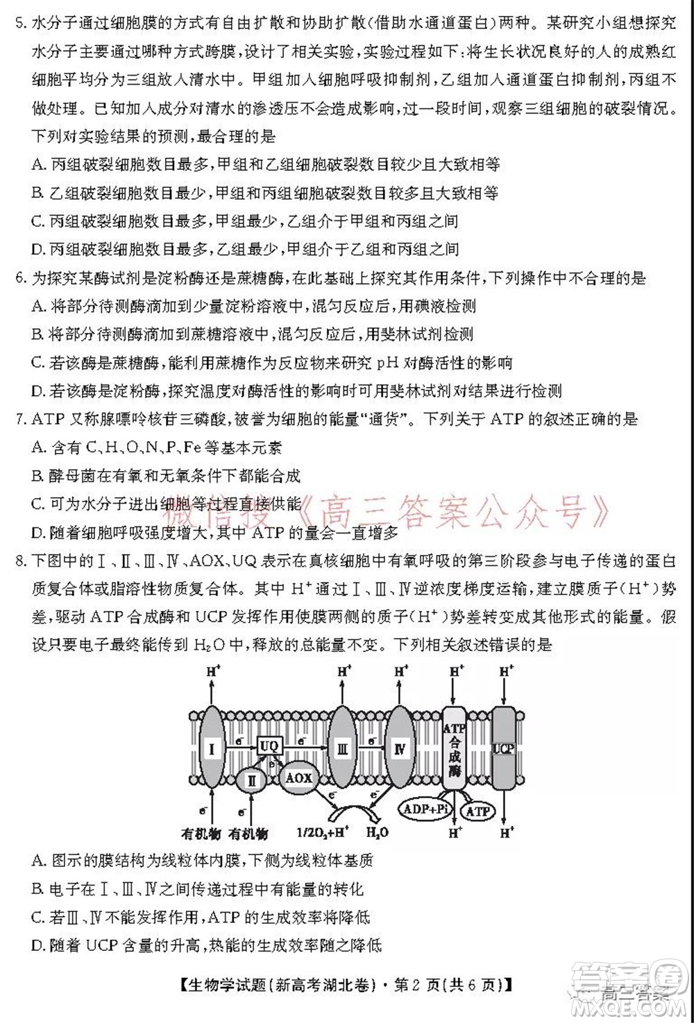 名校教研聯(lián)盟2021年10月高三聯(lián)考生物學試題及答案