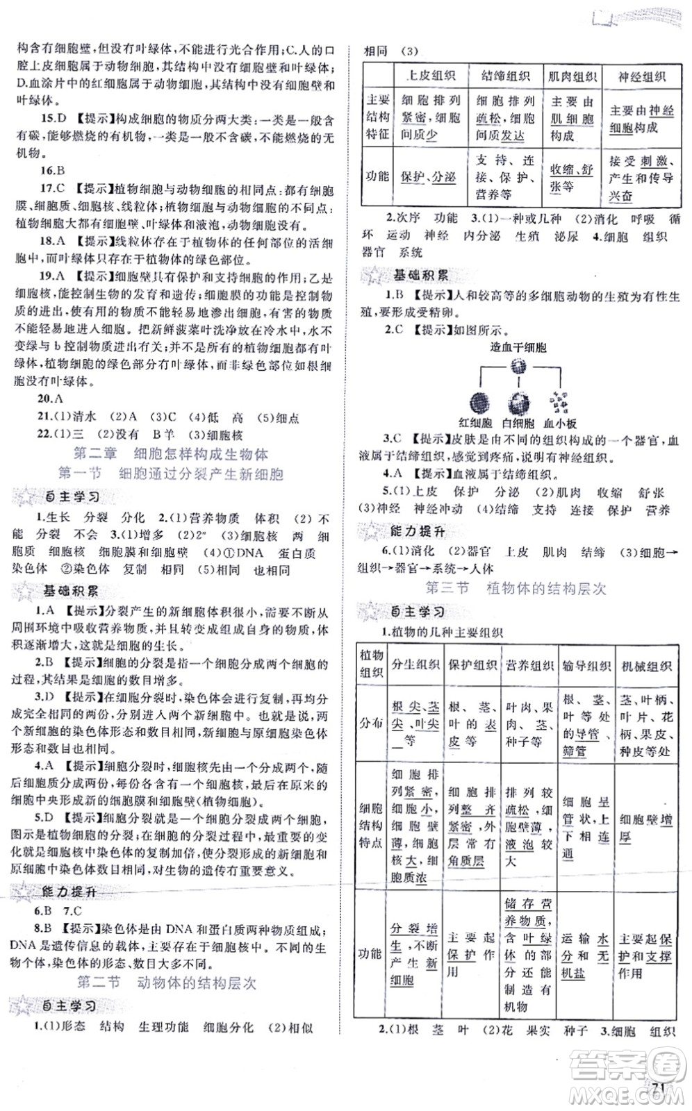 廣西教育出版社2021新課程學習與測評同步學習七年級生物上冊人教版答案