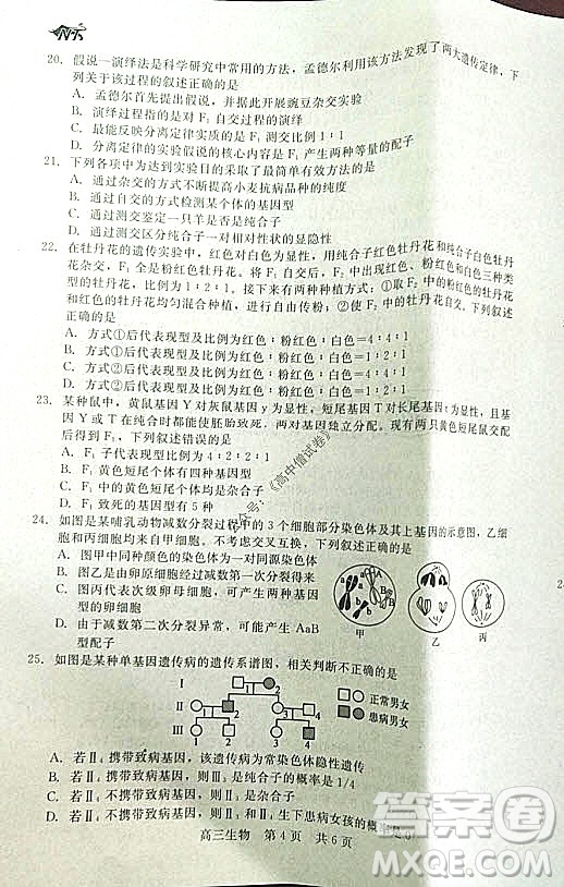 陜西十校聯(lián)考2021-2022學(xué)年第一學(xué)期高三階段測(cè)試卷生物全國卷試題及答案