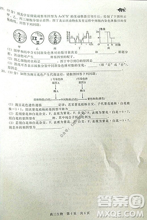 陜西十校聯(lián)考2021-2022學(xué)年第一學(xué)期高三階段測(cè)試卷生物全國卷試題及答案