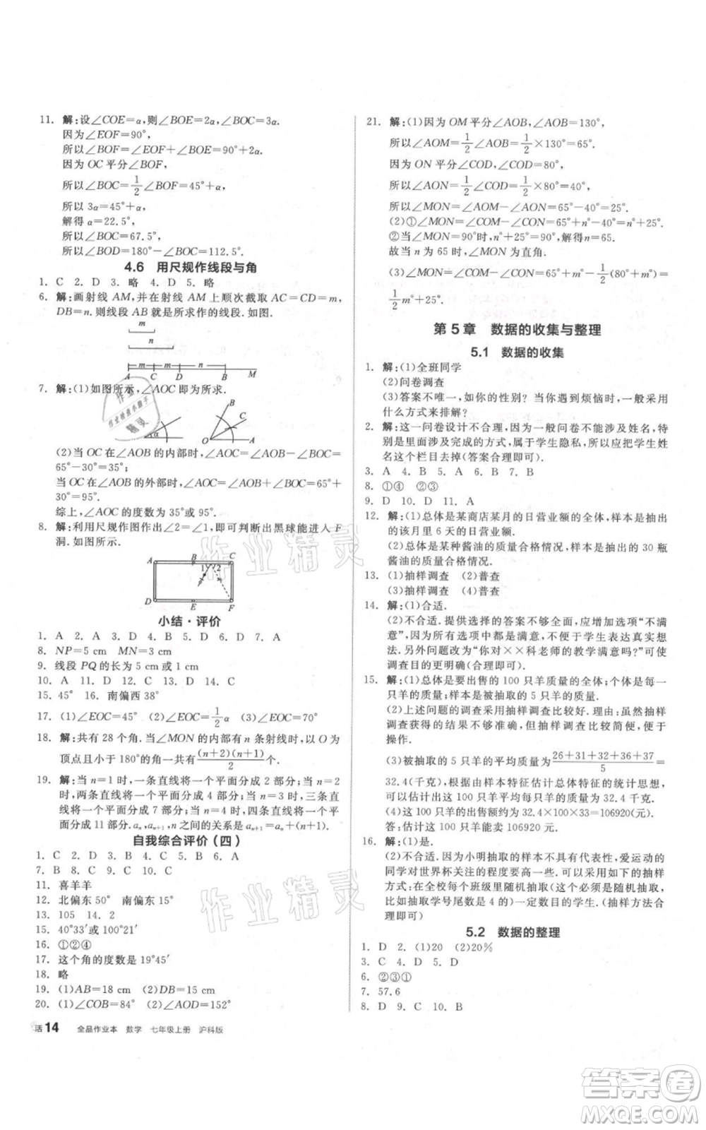 陽(yáng)光出版社2021全品作業(yè)本七年級(jí)上冊(cè)數(shù)學(xué)滬科版參考答案