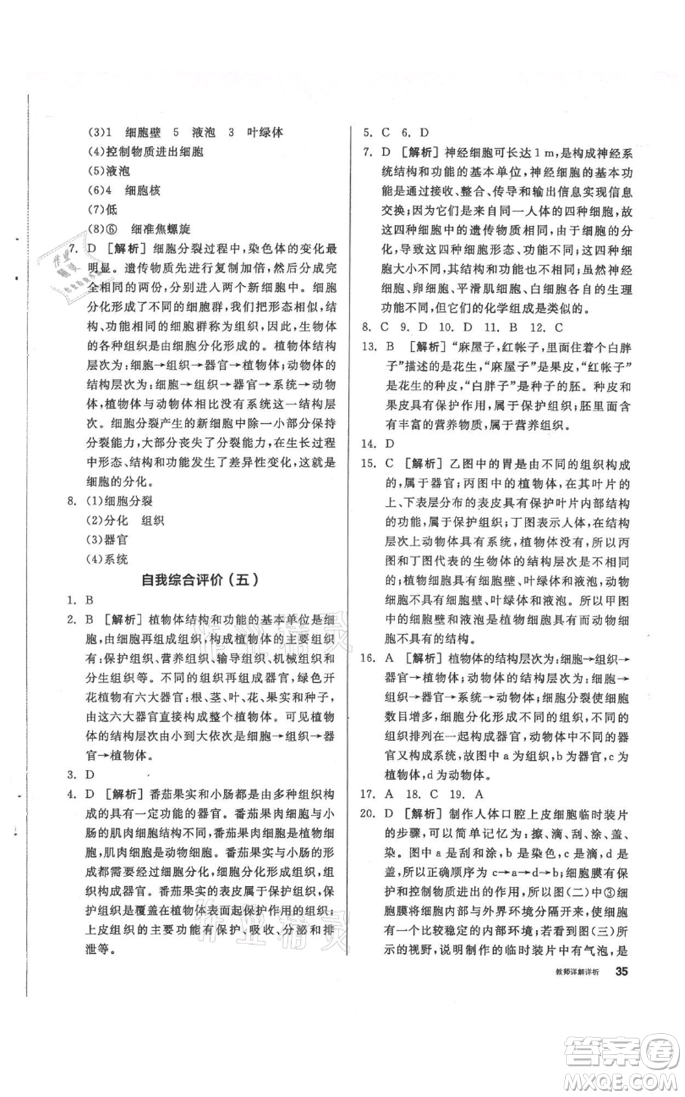 陽光出版社2021全品作業(yè)本七年級(jí)上冊(cè)科學(xué)華師大版參考答案