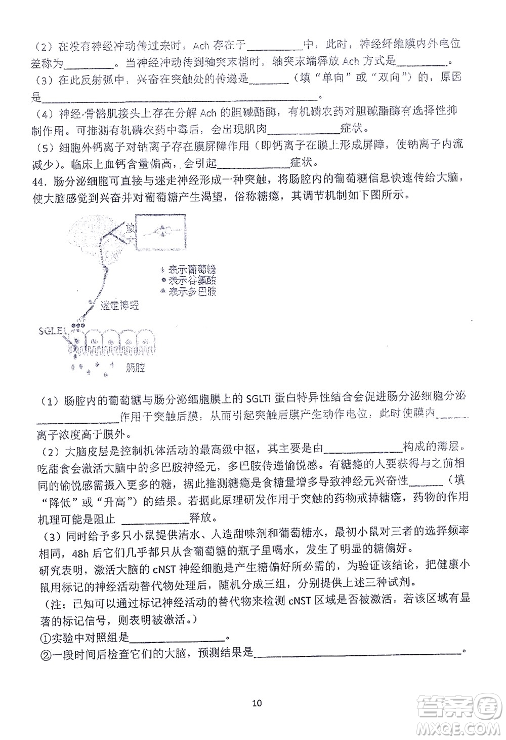 哈三中2021-2022學(xué)年度上學(xué)期高二學(xué)年10月階段性測(cè)試生物試卷及答案