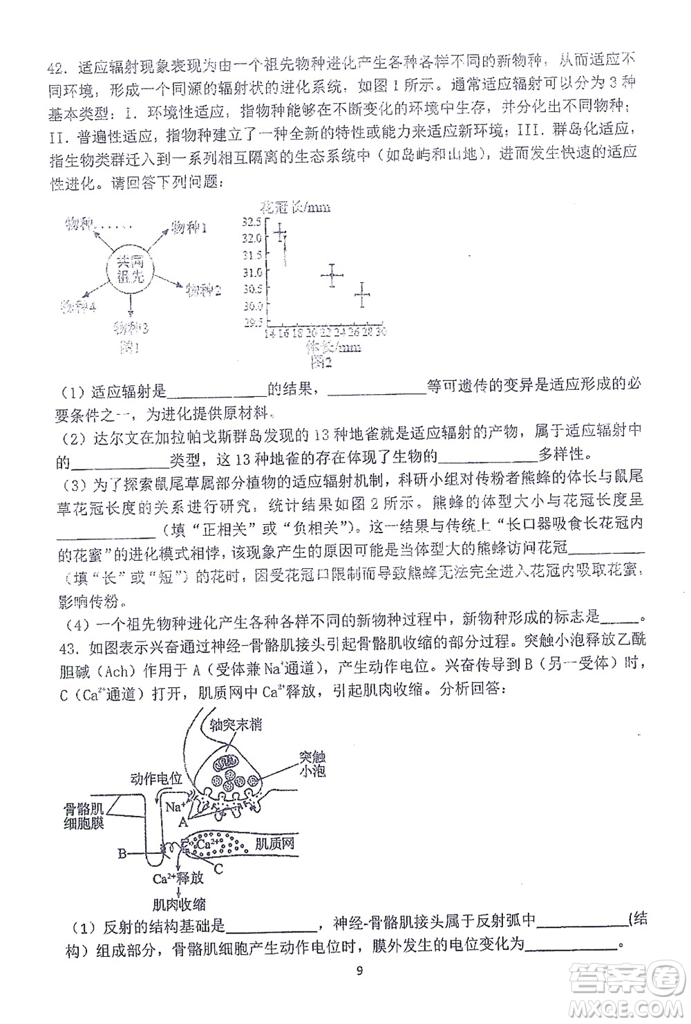 哈三中2021-2022學(xué)年度上學(xué)期高二學(xué)年10月階段性測(cè)試生物試卷及答案