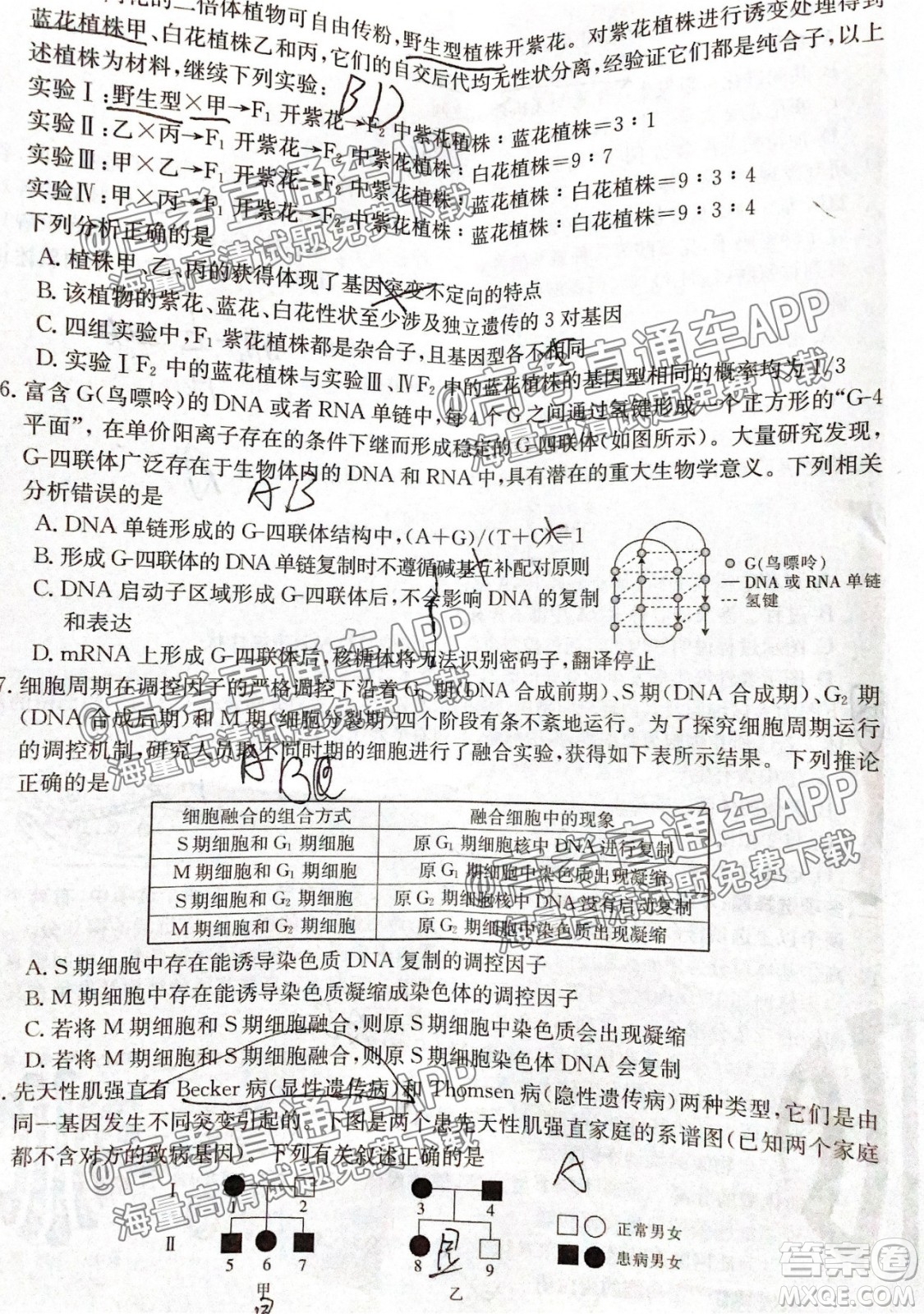 河北2021-2022學年高三年級上學期期中考試生物試題及答案