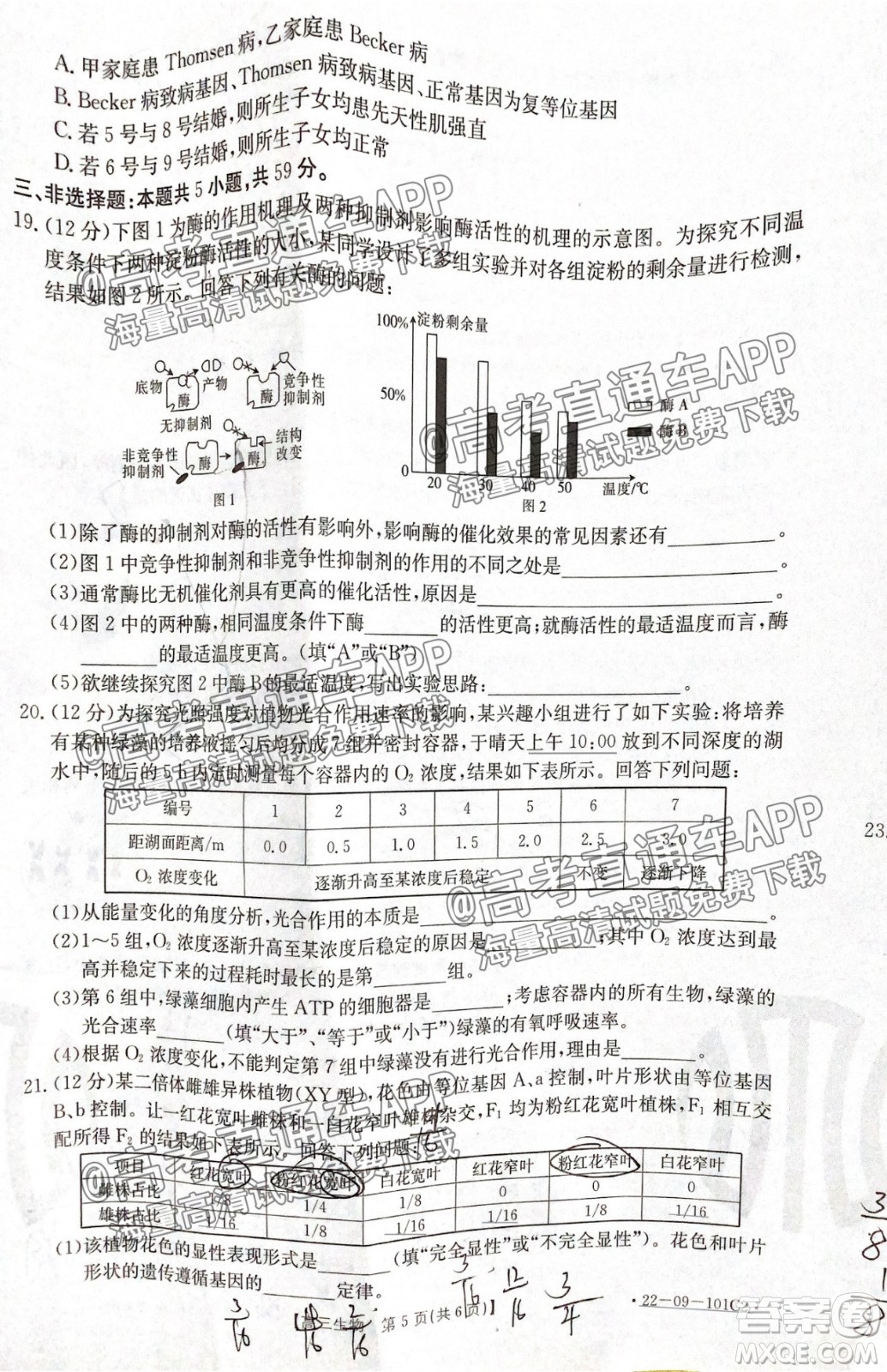 河北2021-2022學年高三年級上學期期中考試生物試題及答案