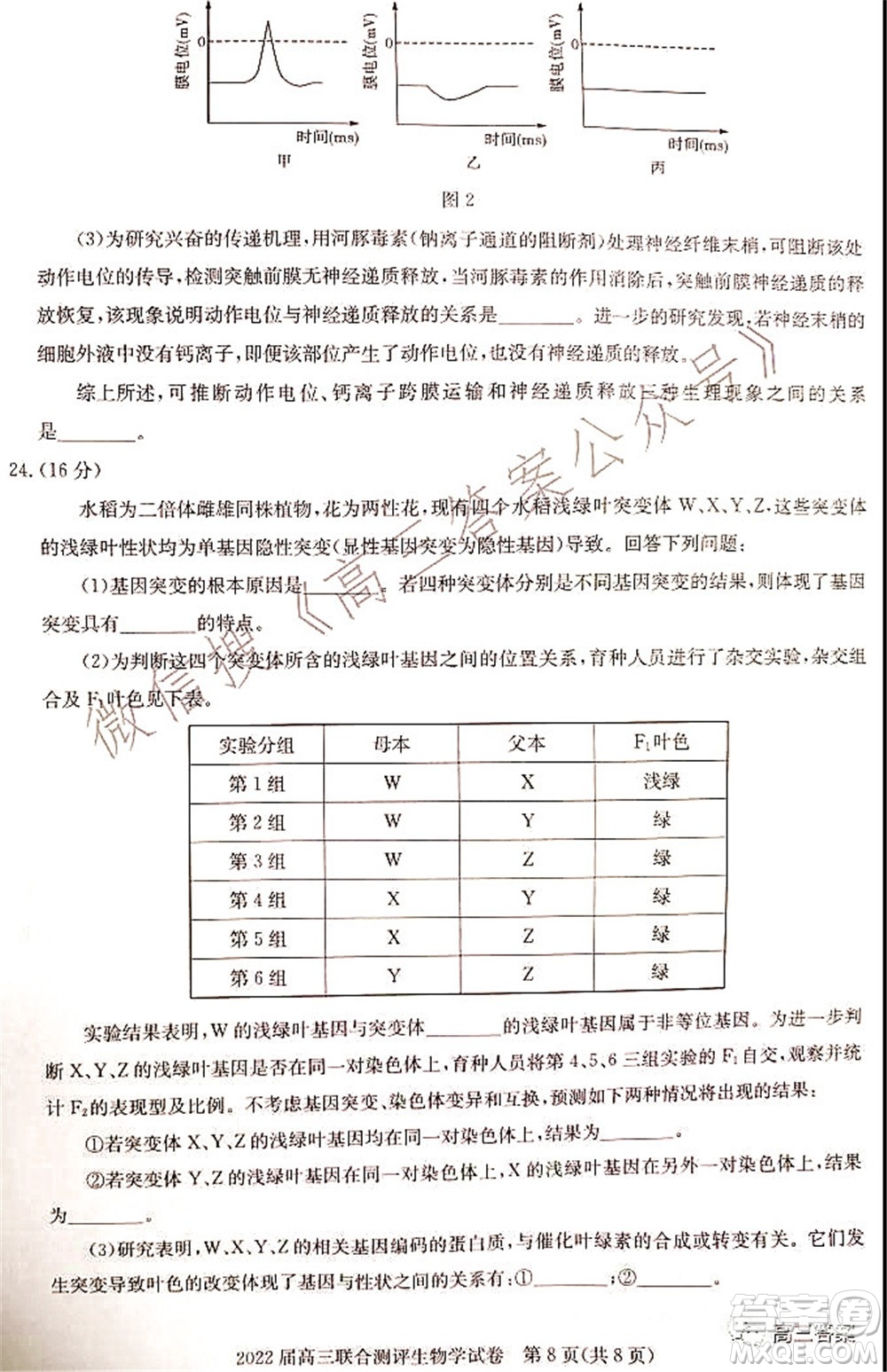 湖北省部分重點(diǎn)中學(xué)2022屆高三第一次聯(lián)考生物試題及答案