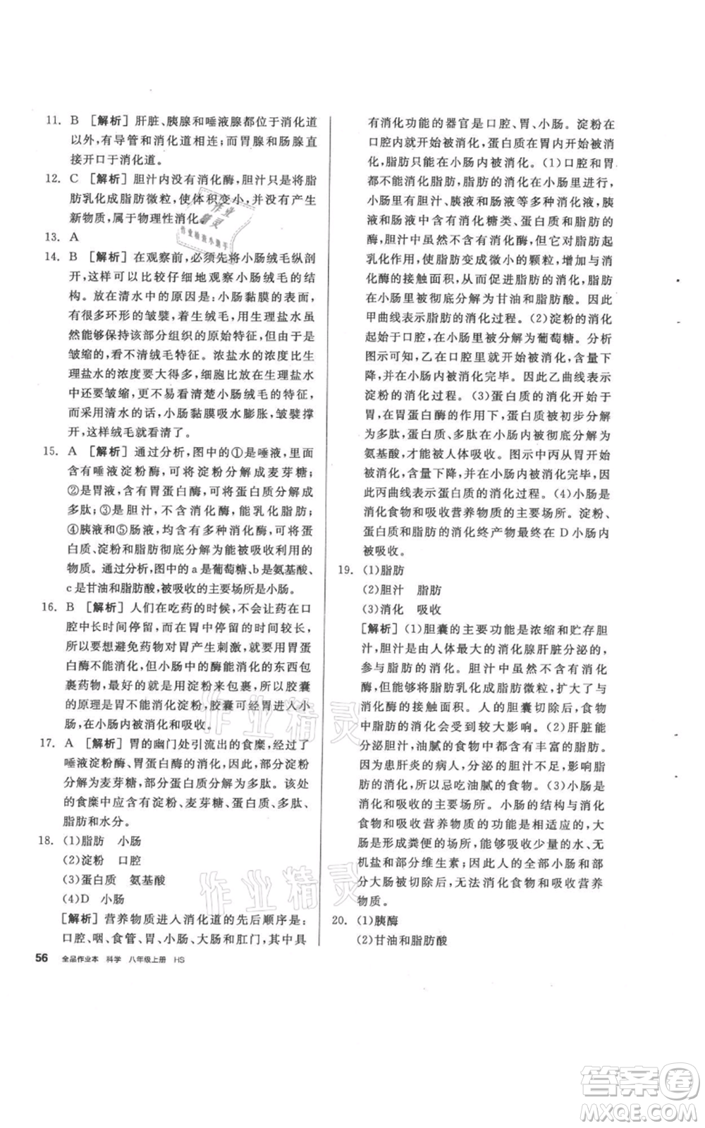 陽光出版社2021全品作業(yè)本八年級上冊科學(xué)華師大版參考答案