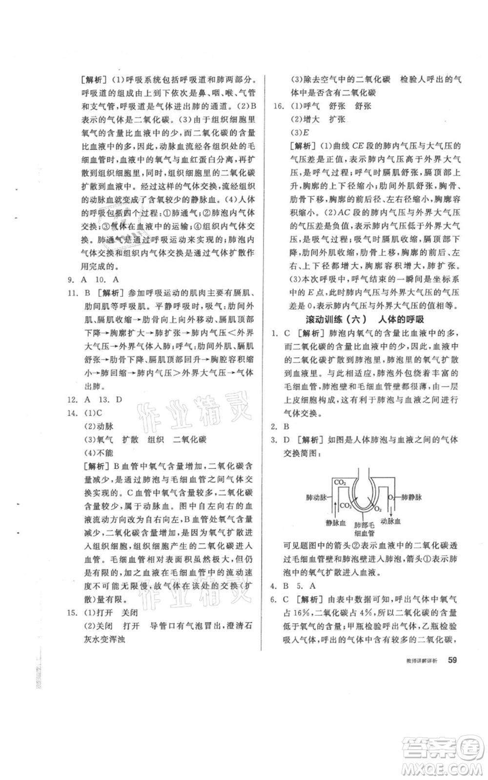 陽光出版社2021全品作業(yè)本八年級上冊科學(xué)華師大版參考答案