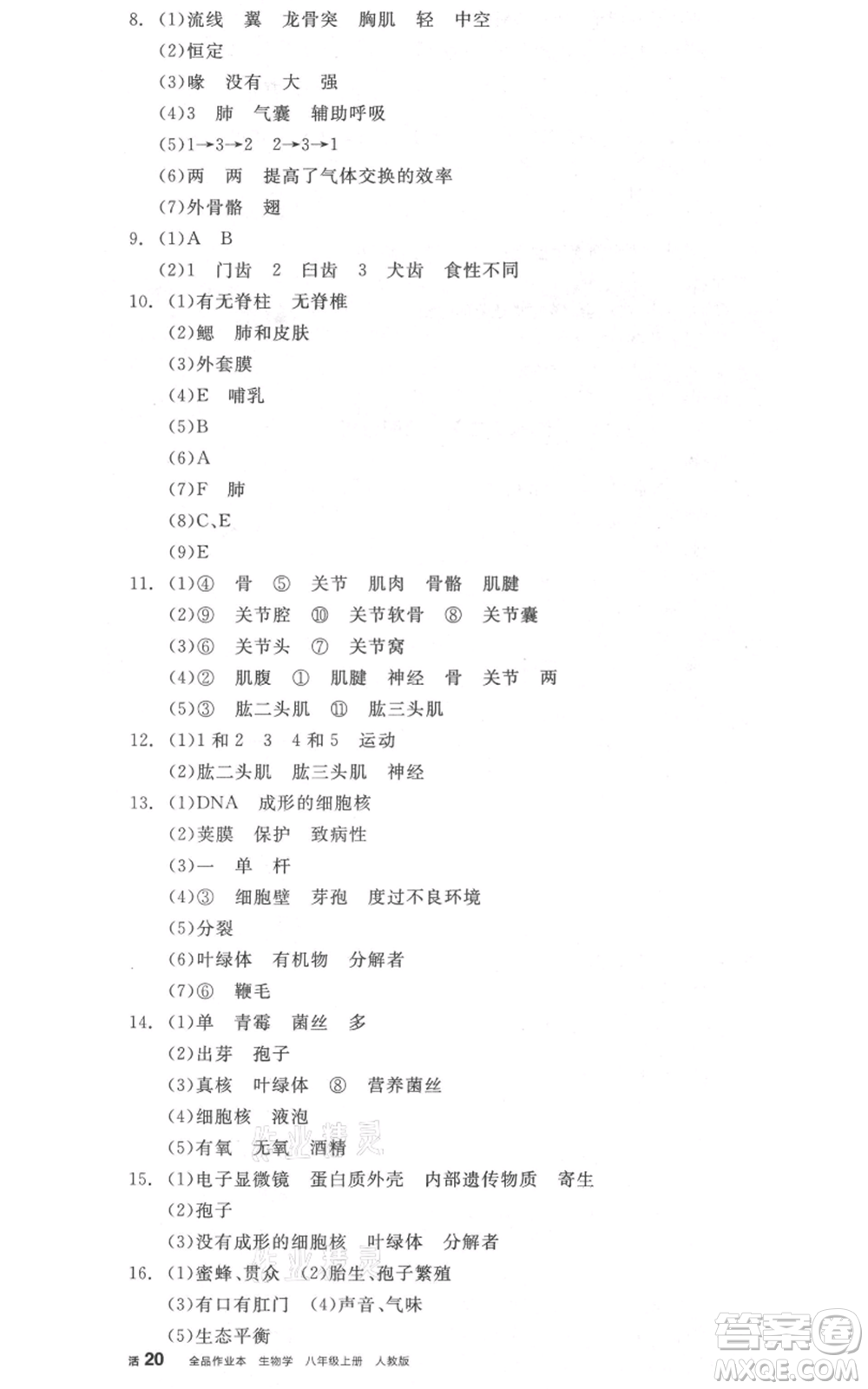 陽光出版社2021全品作業(yè)本八年級上冊生物人教版參考答案