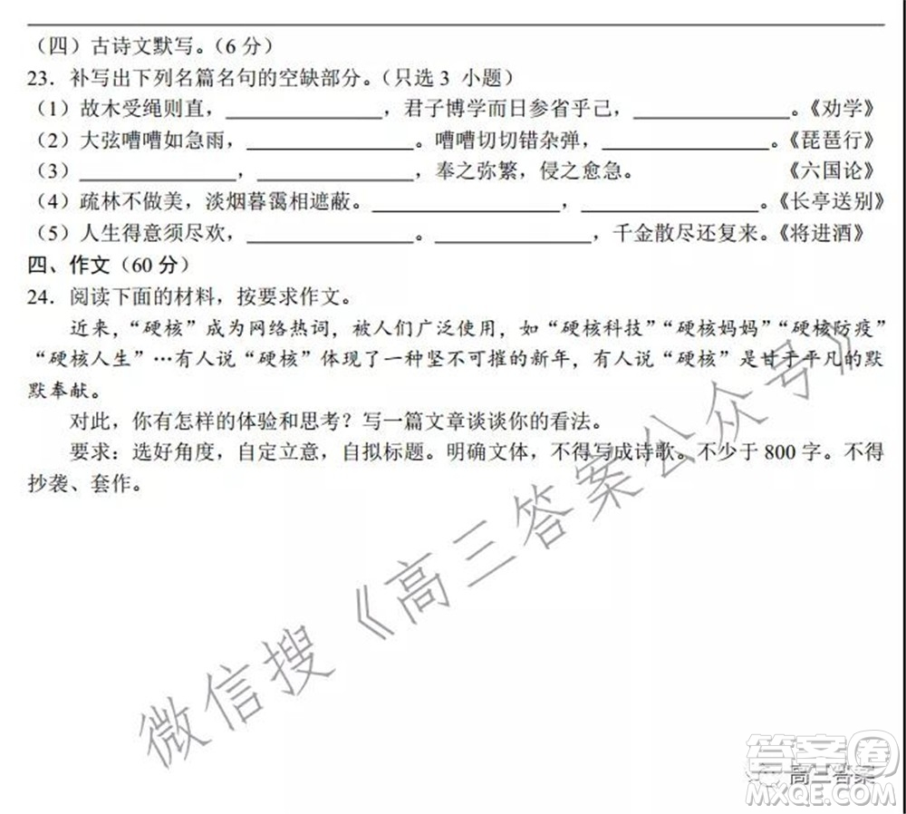 浙江省普通高等學校招生考試模擬卷二語文試題及答案