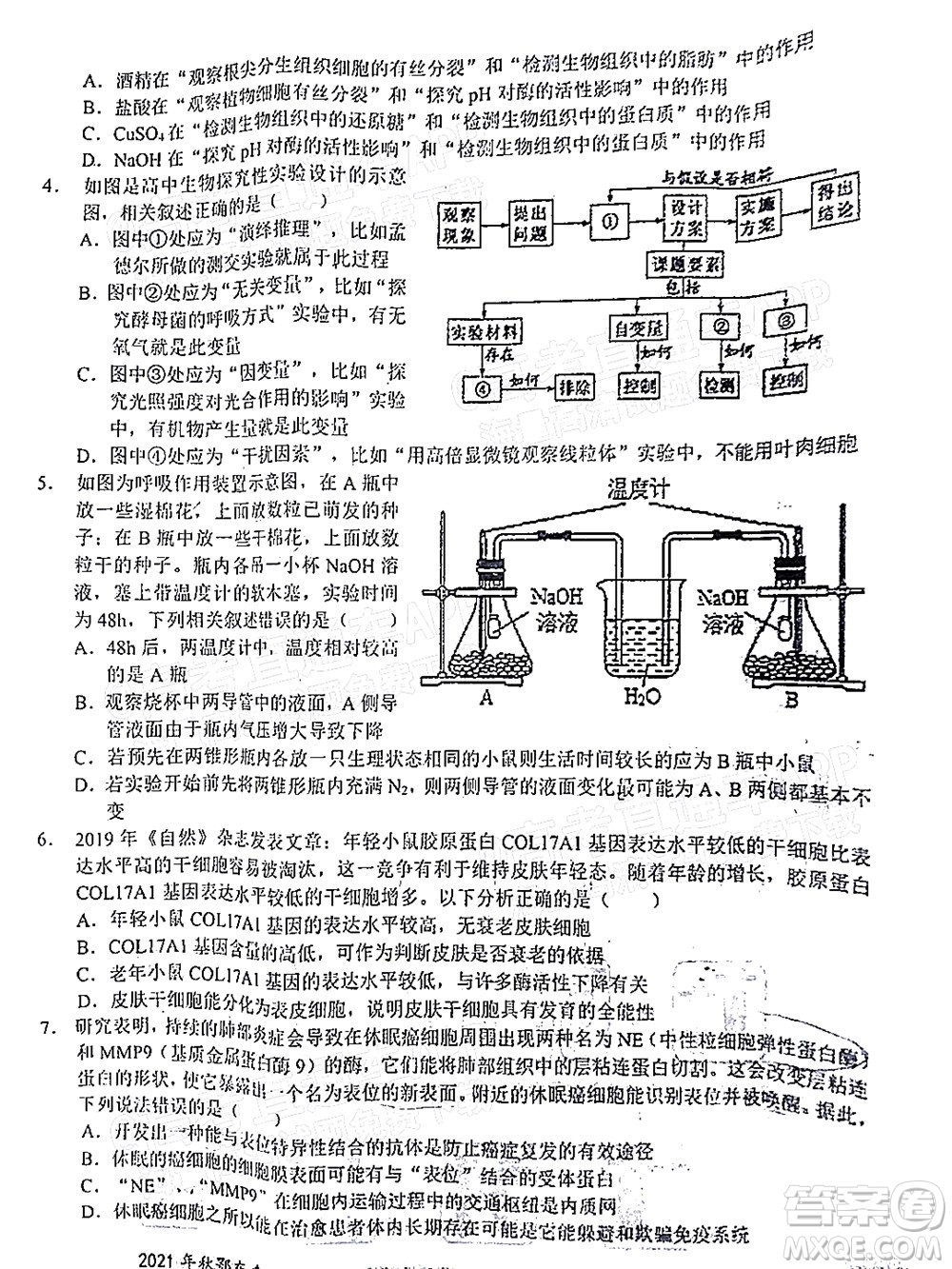 2021年秋季鄂東南省級(jí)示范高中教育教學(xué)改革聯(lián)盟學(xué)校期中聯(lián)考高三生物試題及答案