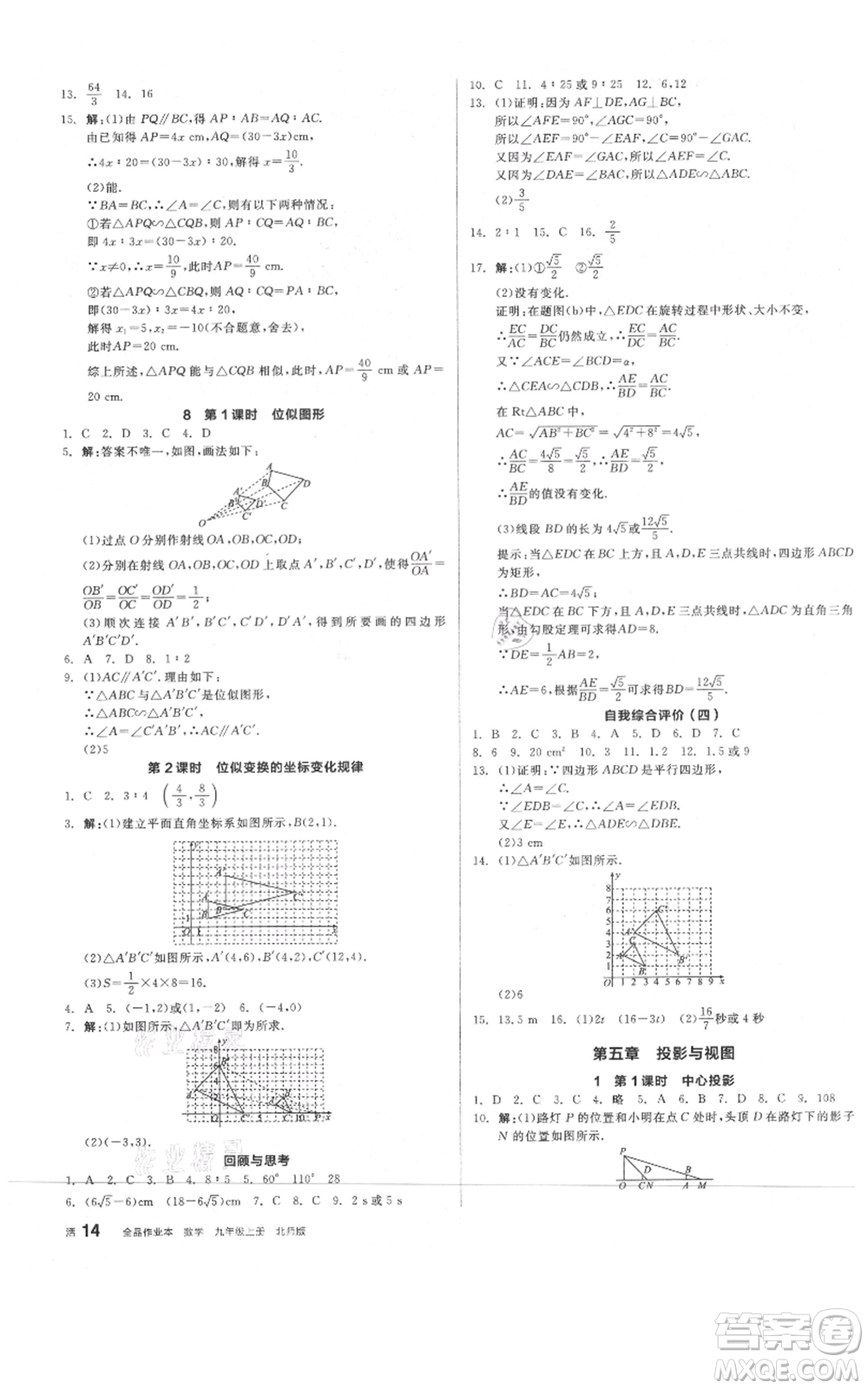 陽光出版社2021全品作業(yè)本九年級(jí)上冊數(shù)學(xué)北師大版參考答案