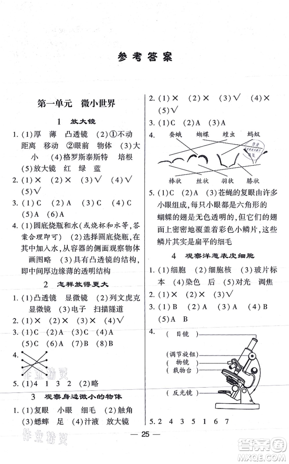 寧夏人民教育出版社2021棒棒堂學(xué)霸課時(shí)作業(yè)六年級(jí)科學(xué)上冊(cè)JK教科版答案