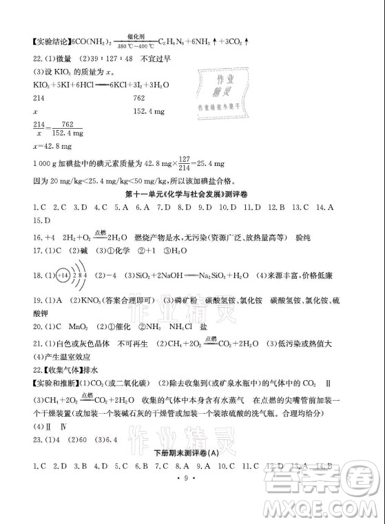 光明日報出版社2021大顯身手素質(zhì)教育單元測評卷化學(xué)九年級全一冊魯教版答案