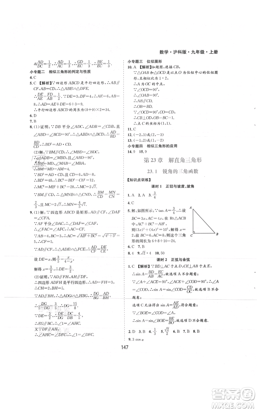 黃山書社2021新編基礎(chǔ)訓(xùn)練九年級上冊數(shù)學(xué)滬科版參考答案