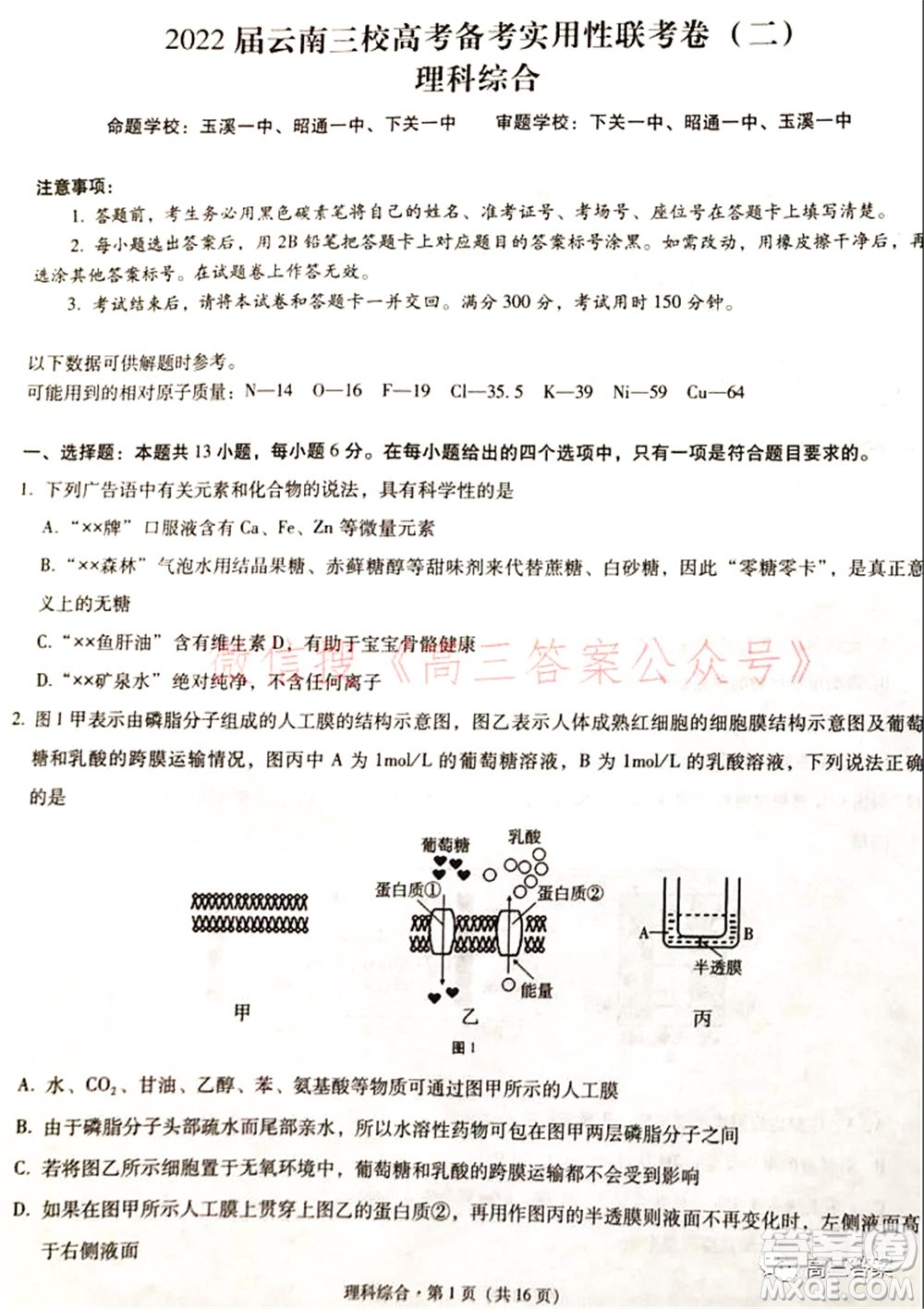 2022屆云南三校高考備考實用性聯(lián)考卷二理科綜合試題及答案