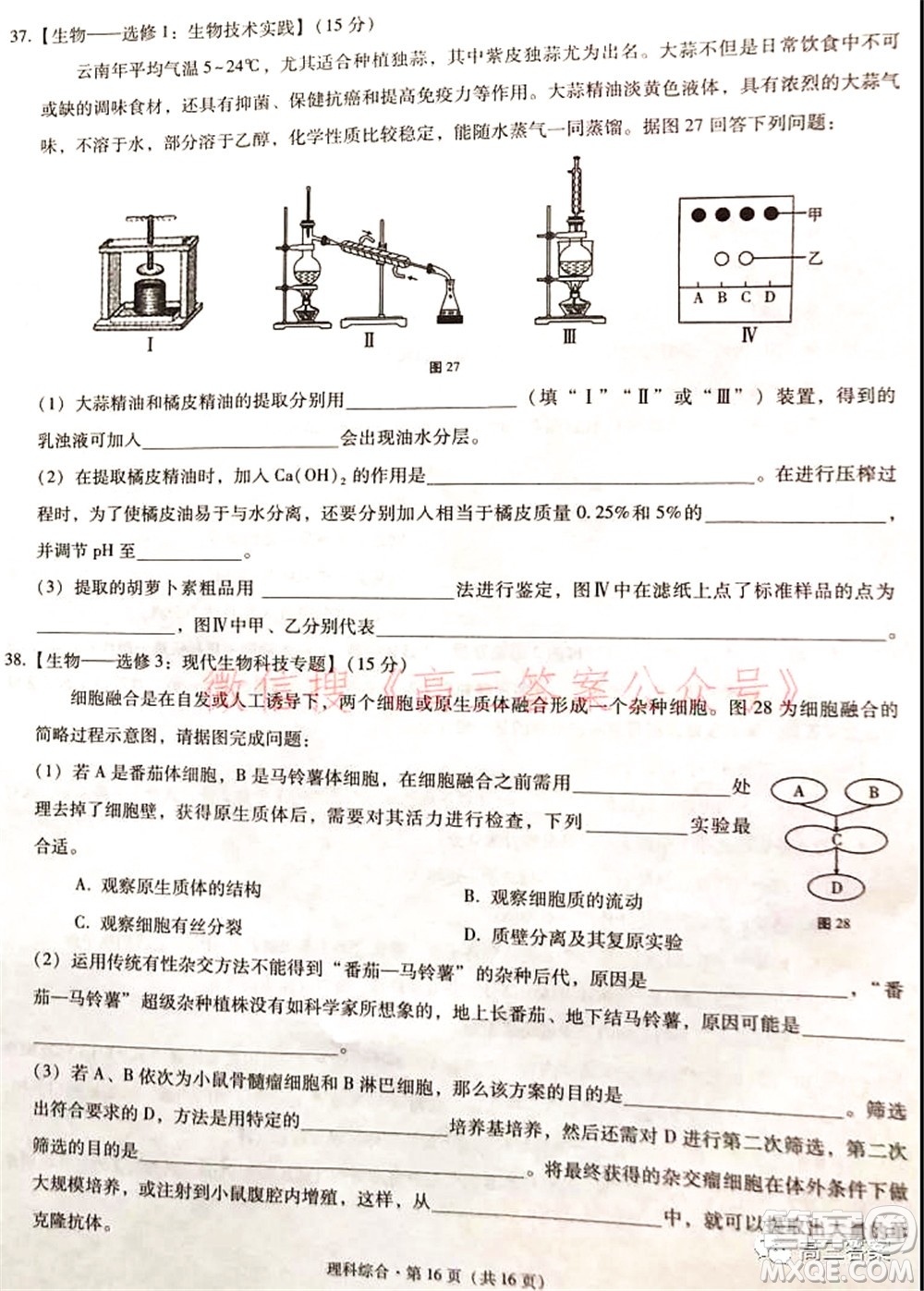 2022屆云南三校高考備考實用性聯(lián)考卷二理科綜合試題及答案