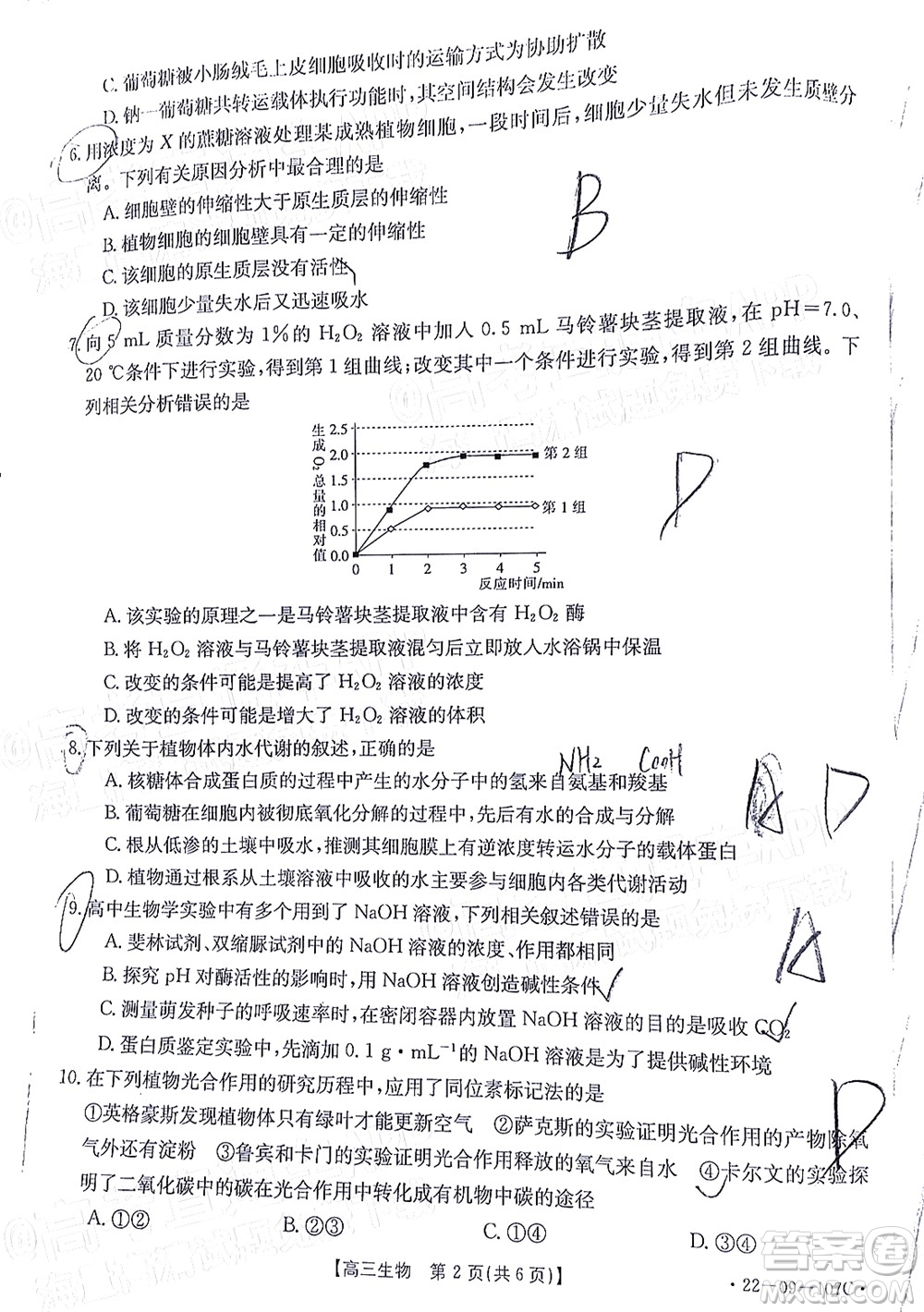 2022屆福建金太陽高三期中考試生物試題及答案