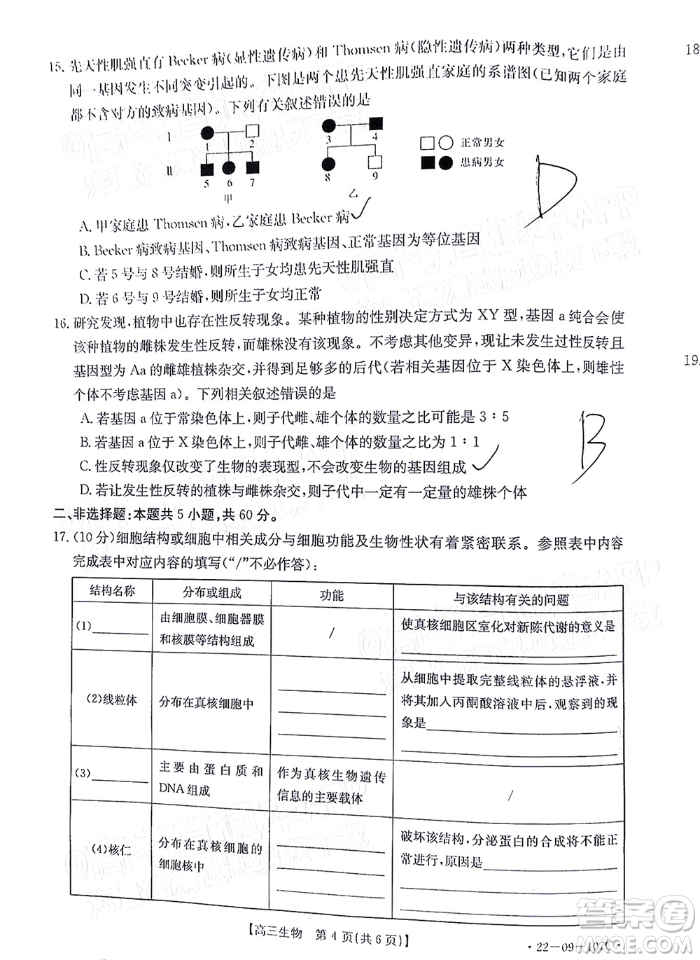 2022屆福建金太陽高三期中考試生物試題及答案