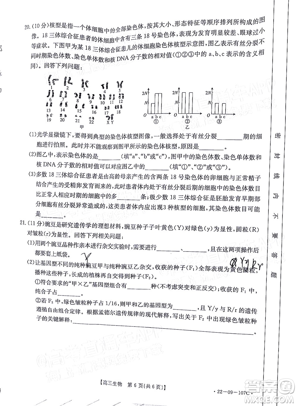 2022屆福建金太陽高三期中考試生物試題及答案