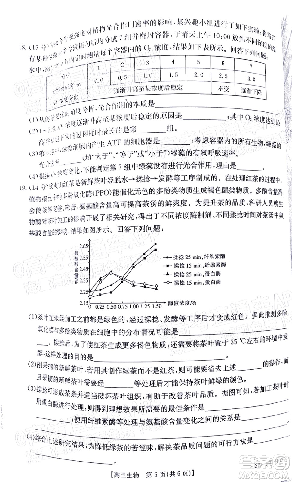 2022屆福建金太陽高三期中考試生物試題及答案