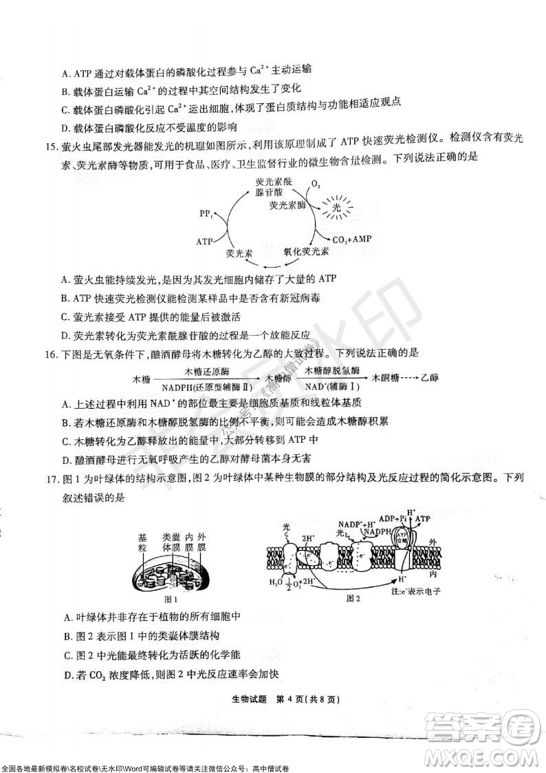 江淮十校2022屆高三第二次聯(lián)考生物試題及答案