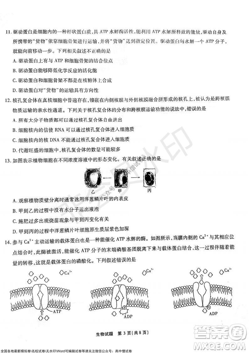 江淮十校2022屆高三第二次聯(lián)考生物試題及答案