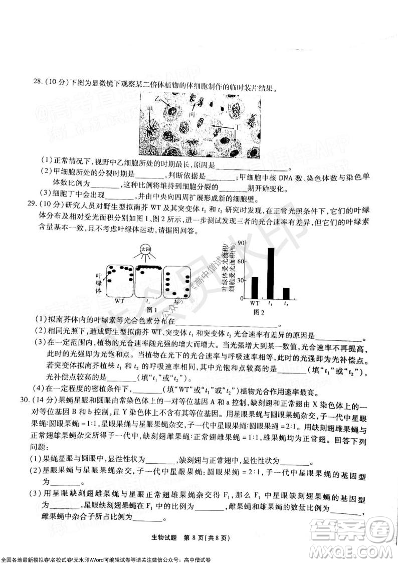 江淮十校2022屆高三第二次聯(lián)考生物試題及答案