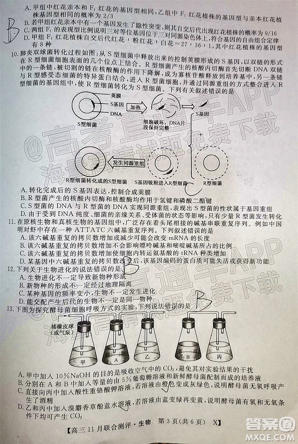 2022屆福建高三11月聯(lián)合測評生物試題及答案