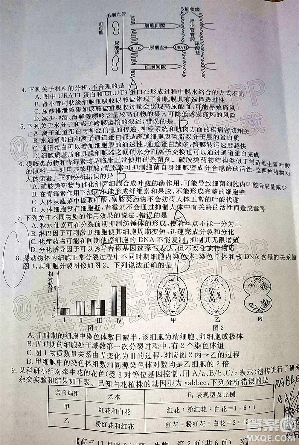 2022屆福建高三11月聯(lián)合測評生物試題及答案