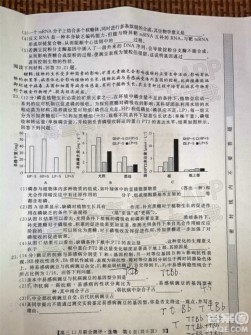 2022屆福建高三11月聯(lián)合測評生物試題及答案