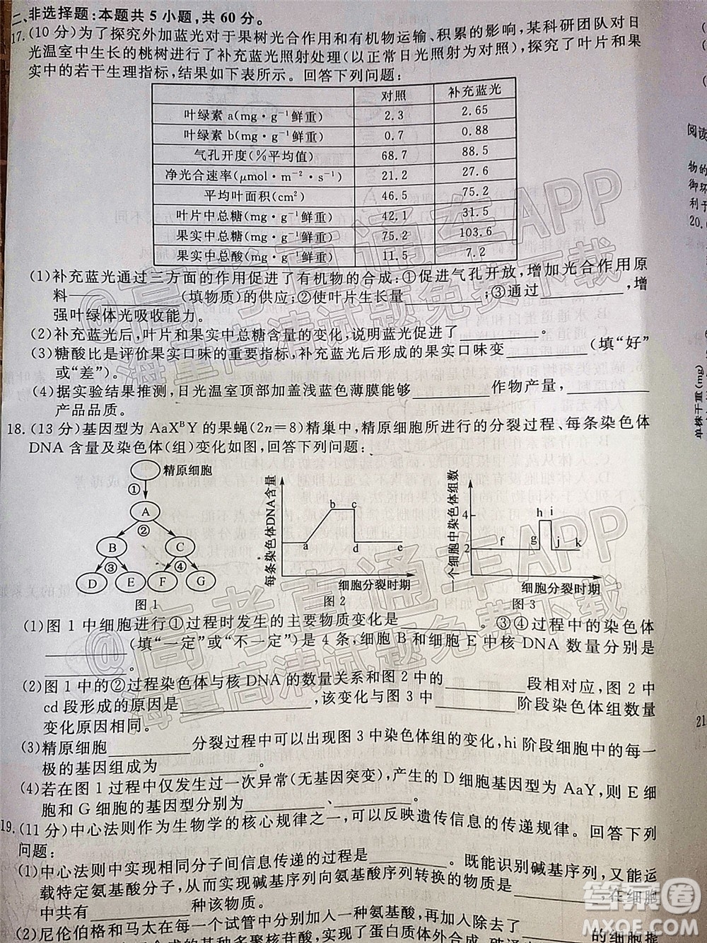 2022屆福建高三11月聯(lián)合測評生物試題及答案