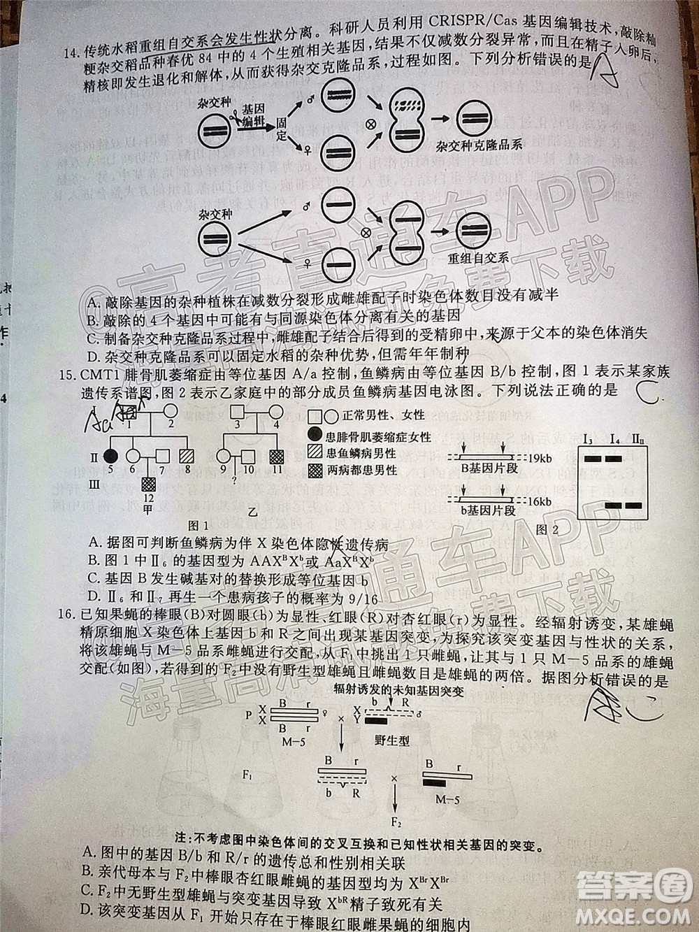 2022屆福建高三11月聯(lián)合測評生物試題及答案