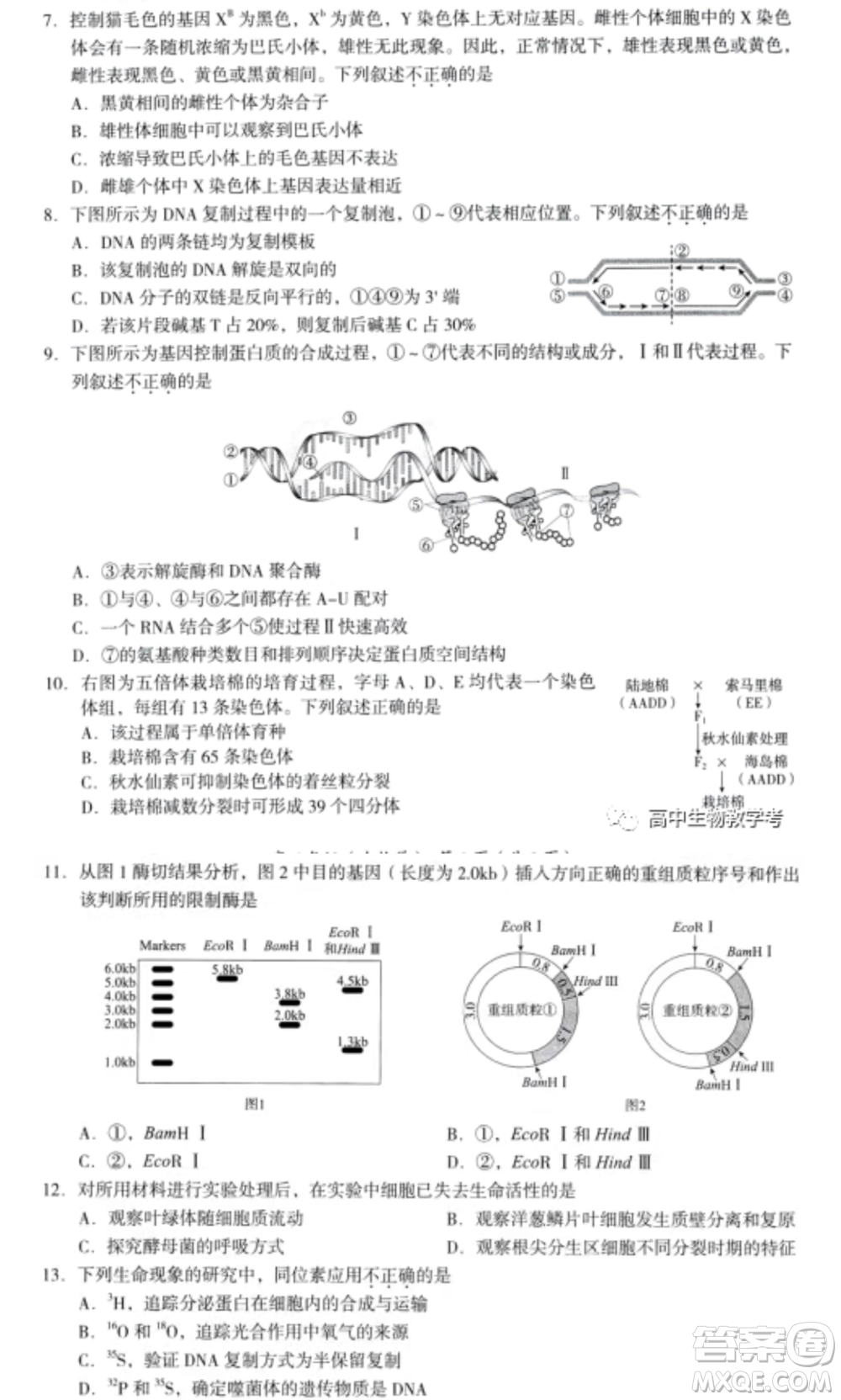 北京海淀區(qū)2021-2022學(xué)年第一學(xué)期期中練習(xí)高三生物學(xué)試卷及答案