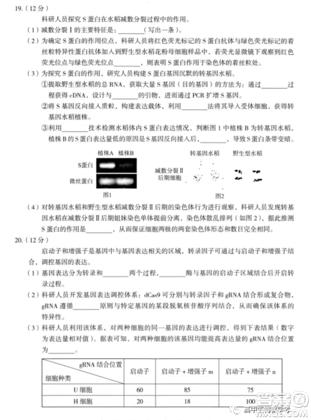 北京海淀區(qū)2021-2022學(xué)年第一學(xué)期期中練習(xí)高三生物學(xué)試卷及答案